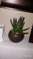 img 1 attached to Stylish Set Of 3 Miniature Artificial Succulents In Brown Ceramic Pots For Indoor Decor review by Katie Parker