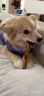 img 1 attached to Boost Your Dog'S Health With Pawstruck Beef Collagen Sticks - The Ultimate Rawhide Alternative Treats With Chondroitin & Glucosamine review by Kelli Grossi