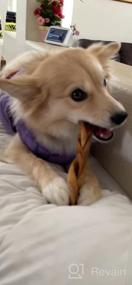 img 5 attached to Boost Your Dog'S Health With Pawstruck Beef Collagen Sticks - The Ultimate Rawhide Alternative Treats With Chondroitin & Glucosamine