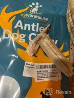 img 1 attached to K9Warehouse Small Elk Antler Dog Chews - Long-Lasting & Odor-Free For Aggressive Chewers, Suitable For Small To Large Dogs (5 To 20 Lbs), Whole Antlers Measuring 4"-5 review by Jesus Samaddar