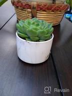img 1 attached to Stylish And Practical Ceramic Succulent Planters With Drainage Tray - Set Of 4 By DeeCoo review by Jason Stokes