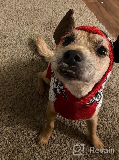 img 1 attached to KYEESE Christmas Dog Sweater Hoodie Reindeer Red Dogs Knitwear Pullover Pet Sweater With Leash Hole Ugly Christmas Dog Sweater For Small Dogs review by Damon Fields