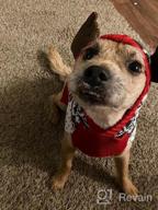 img 1 attached to KYEESE Christmas Dog Sweater Hoodie Reindeer Red Dogs Knitwear Pullover Pet Sweater With Leash Hole Ugly Christmas Dog Sweater For Small Dogs review by Damon Fields