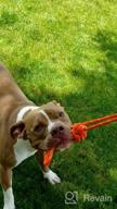 img 1 attached to XiaZ Retractable Dog Toy, Rope Tug Of War Toys For Small/Medium Dogs Outdoor Exercise Play, Extra Durable & Safe review by Casey Oliver