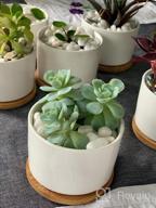 img 1 attached to Add Elegance To Your Space With ZOUTOG Mini Ceramic Succulent Planters - Pack Of 4 review by Todd Mamat