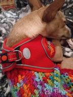 img 1 attached to Joytale Dog Harness Step-In Mesh Vest, 12 Colors, Reflective Padded Harnesses For Small And Medium Dogs, Red Size L. review by David Flores