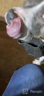 картинка 1 прикреплена к отзыву Black Leather Basket Dog Muzzle for Training German Shepherd, Staffordshire 🐾 Terrier, Pitbull & Medium to Large Breeds - Anti-Barking, Biting, Chewing by CollarDirect от Kelvin Ward