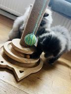 img 1 attached to Marchul Cat Toy Roller 2-Level Turntable, Wooden Cat Track Toy With Scratching Post, Interactive Kitten Fun Track Toy For Indoor Cats review by Tina Peterson