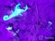 картинка 1 прикреплена к отзыву УФ-фонарик Alonefire 395 нм со 128 светодиодами для обнаружения скорпионов и мочи домашних животных, идентификации сухих пятен - включает защитные очки от ультрафиолета и 6 батареек AAA от David Alvarado