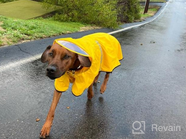 img 1 attached to Waterproof Dog Raincoat With Adjustable Belly Strap, Leash Hole & Reflective Strip - Lightweight Breathable Hoodie Jacket For Medium Large Dogs - Easy To Wear review by Michael Cormier