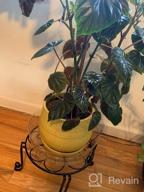 картинка 1 прикреплена к отзыву 4 металлические подставки для растений POTEY для комнатных и садовых растений, держатель для цветочных горшков, металлический неподверженный ржавению железный контейнер для сада с круглой опорой диаметром 9"/10”/11"/12“ (черный) от Brandon Christianson