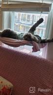 img 1 attached to Sturdy And Safe Window Cat Hammock With Heavy Duty Suction Cups For Resting And Perching, Holds Up To 30Lbs, Plus 2 Extra Suction Cups Included - NOYAL review by John Duffield