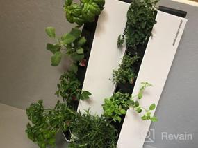 img 5 attached to Effortless Vertical Gardening: Self-Watering Planter With Hanging Bracket - Perfect For Indoor & Outdoor Wall Decor; Ideal For Busy Lifestyles