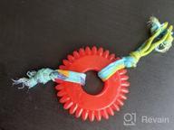 img 1 attached to Petstages Catnip Dental Chew Wheel Toy For Cats review by Jeff Zamora