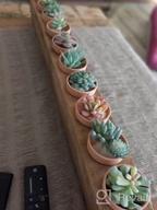 img 1 attached to 12 Pcs Unpotted Faux Succulent Plants - Small Plastic Assortment For Craft, Party Decor & Garden Outdoor review by Tyler Spencer