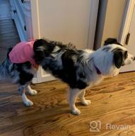 img 1 attached to Cos2Be Female Dogs Diapers Washable Reusable Wraps,Soft & Comfortable Diapers For Small To Middle Dog-Pack Of 3(XS) review by Scott Galloway