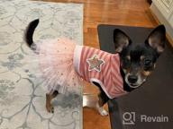 img 1 attached to 🦄 KYEESE Unicorn Tiered Layer Tutu Tulle Dog Birthday Party Dress with Sequins - Perfect for Small Dogs review by Jeff Bruno