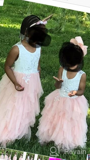 img 1 attached to 👸 Princess Birthday Party Dresses - Tutu Lace Cake Dress Skirts for Flower Girls review by Ronald Howlett