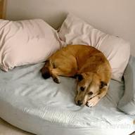 картинка 1 прикреплена к отзыву KOPEKS Deluxe Orthopedic Memory Foam Round Sofa Lounge Dog Bed - Jumbo XL - Brown, Model:Round от Derrick Shaw