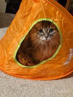 img 1 attached to Foldable Breathable Cat Tent Bed - Portable Pop Up Collapsible Kitten Indoor Outdoor Toy For Cats And Puppies, Random Color. review by Carnell Bollwitt
