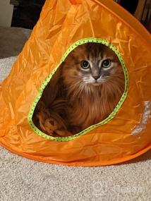 img 5 attached to Foldable Breathable Cat Tent Bed - Portable Pop Up Collapsible Kitten Indoor Outdoor Toy For Cats And Puppies, Random Color.