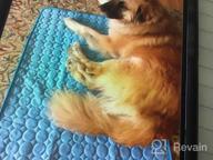 img 1 attached to VeMee Self-Cooling Mat For Dogs And Cats - Ice Silk Pet Crate Pad With Breathable Fabric - Portable, Washable, And Ideal For Outdoor And Home Use (28 X 22In, Blue) review by John Wells