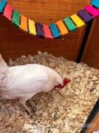 картинка 1 прикреплена к отзыву KATUMO Chicken Swing Perch Toy - Handmade Hanging Stand For Chickens, Hens, Birds & Parrots Training - Colorful Coop Accessory 112Cm/44.09'' Long от Chris Webb