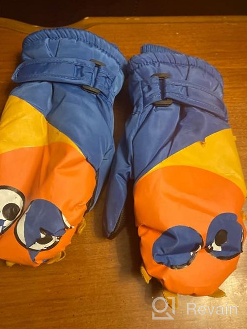 img 1 attached to Miaowoof Toddler Waterproof Thinsulate Mittens Girls' Accessories for Cold Weather review by Maria Hill