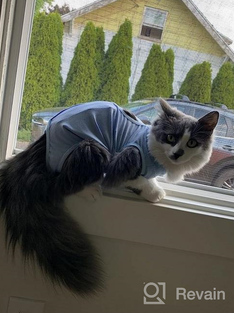 img 1 attached to Surgical Abdominal Wound Recovery For Cats: LIANZIMAU Cat Surgery Suit - Home Indoor Pet Clothing E-Collar Alternative After Surgery review by Adam Vang