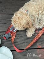 img 1 attached to RUFFWEAR Rocky Mountains Flat Out Dog Leash: Adjustable Lead With Padded Handle review by Stacy Glasrud