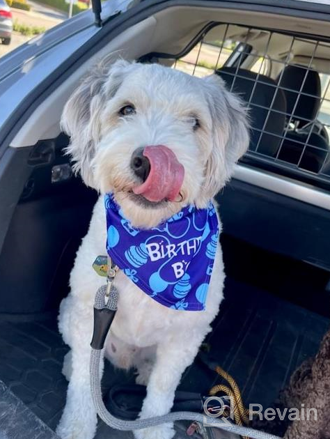 img 1 attached to Celebrate Your Pup'S Big Day With TCBOYING'S 11-Piece Dog Birthday Set – Blue Bandana, Hat, Scarf, Flags, Balloons & More! review by Derek Pape