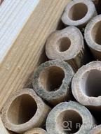 img 1 attached to Boost Your Garden'S Pollination With KIBAGA'S Handmade Bamboo Mason Bee House - A Haven For Productive And Peaceful Bee Pollinators! review by Molly Gordon