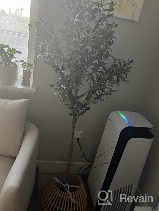 img 1 attached to Add A Touch Of Nature With VIAGDO'S 4.6Ft Artificial Olive Tree - Perfect For Modern Home Decor! review by Nathan Issa