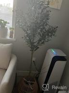 img 1 attached to Add A Touch Of Nature With VIAGDO'S 4.6Ft Artificial Olive Tree - Perfect For Modern Home Decor! review by Nathan Issa