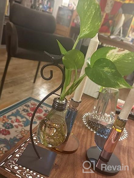 img 1 attached to Add A Touch Of Green To Your Space With Marbrasse Desktop Glass Planter - Lovely Dog Hydroponics Vase review by Bill Wasson