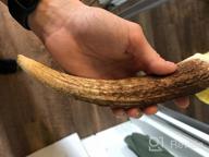 img 1 attached to Ultimate Chew Time: K9Warehouse Large Elk Antlers For Aggressive Dogs With Long-Lasting Odorless Whole Antler Chews review by Timothy Schroeder
