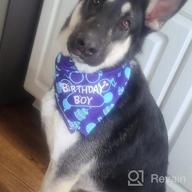 img 1 attached to Celebrate Your Pup'S Big Day With TCBOYING'S 11-Piece Dog Birthday Set – Blue Bandana, Hat, Scarf, Flags, Balloons & More! review by Glen Elevyn