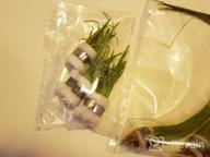 img 1 attached to Create A Stunning Aquascape With Fresh Dwarf Sagittaria Subulata 3-Bunch Live Aquarium Plants By Greenpro review by John Arsov