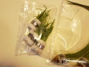 img 8 attached to Создайте потрясающий акваскейп со свежими карликовыми растениями Sagittaria Subulata из 3 пучков живых аквариумных растений от Greenpro