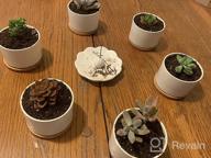 img 1 attached to 🌱 ZOUTOG Mini White Ceramic Succulent Pots with Bamboo Tray - Pack of 6, 3.15 inch Flower Planter Pot - Plants Not Included review by Gregory Plump