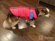 img 1 attached to Gooby G21 Bomber Dog Jacket - Blue, X-Large - Winter Waterproof Zip Up Dog Sweaters For Small Dogs With Dual D Ring Leash - Warm Windproof Small Dog Clothes - Dog Sweater For Small Dogs To Medium Dogs review by Josh Sheehan