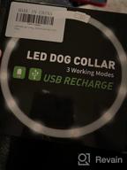 img 1 attached to USB Rechargeable LED Dog Collar For Night Safety - Joytale Light Up Collar In Blue - Glows In The Dark, Ideal For Small, Medium, And Large Dogs review by Deron Altman