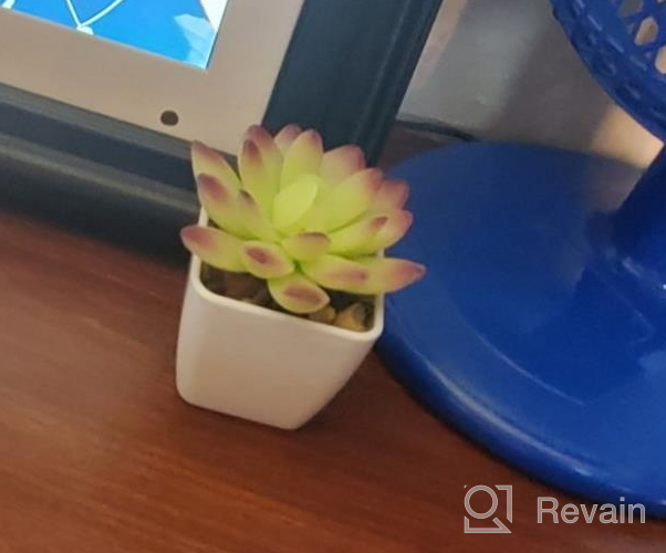 img 1 attached to Add A Touch Of Green With Veryhome'S 4Pcs Artificial Faux Succulent Mini Potted Plants For Home And Office Decor review by Brandon Hayes