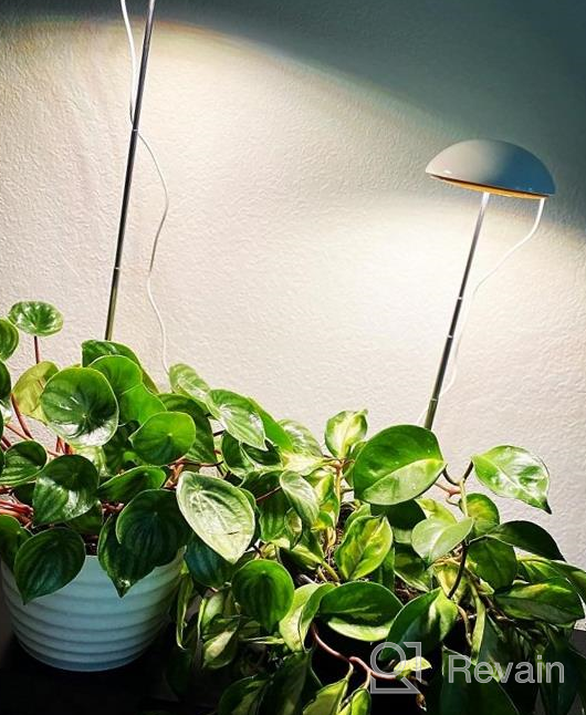 img 1 attached to Full Spectrum LED Grow Lights For Indoor Plants - POTEY 2 Heads, Height Adjustable With Auto On/Off Timer & 5 Dimmable Brightness Settings. review by Robert Elder