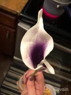 img 1 attached to 20Pcs Lifelike Artificial Calla Lily Flowers Purple For DIY Bridal Bouquet Centerpieces - Veryhome Home Decor (Purple White) review by Allen Wagner