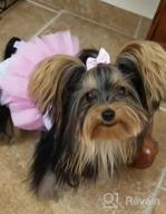img 1 attached to 👗 QingLuo Sweet Puppy Dog Princess Dress - Pink/Purple Bow Lace Tutu Skirt - Doggie Dress for Dog/Cat (X-Small, Purple) review by Steve Stone
