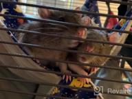 img 1 attached to Small Animal Hanging Hammock Bed For Ferret Hamster Parrot Rat Guinea-Pig Mice Chinchilla Flying Squirrel - Pink Strawberry review by Andrew Pickering