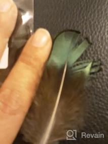 img 6 attached to LolliBeads (TM) 20 Pcs Green Lady Amherst Bronze Iridescent Plumage Feathers Inches Long 2-3 Inches