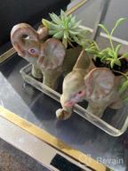 img 1 attached to Retro Glazed Elephant Succulent Planters - 2 Pack Pot And Saucer Set For Home And Garden Decoration review by Keith Leach