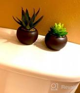 img 1 attached to Stylish Set Of 3 Miniature Artificial Succulents In Brown Ceramic Pots For Indoor Decor review by Keith Ostby